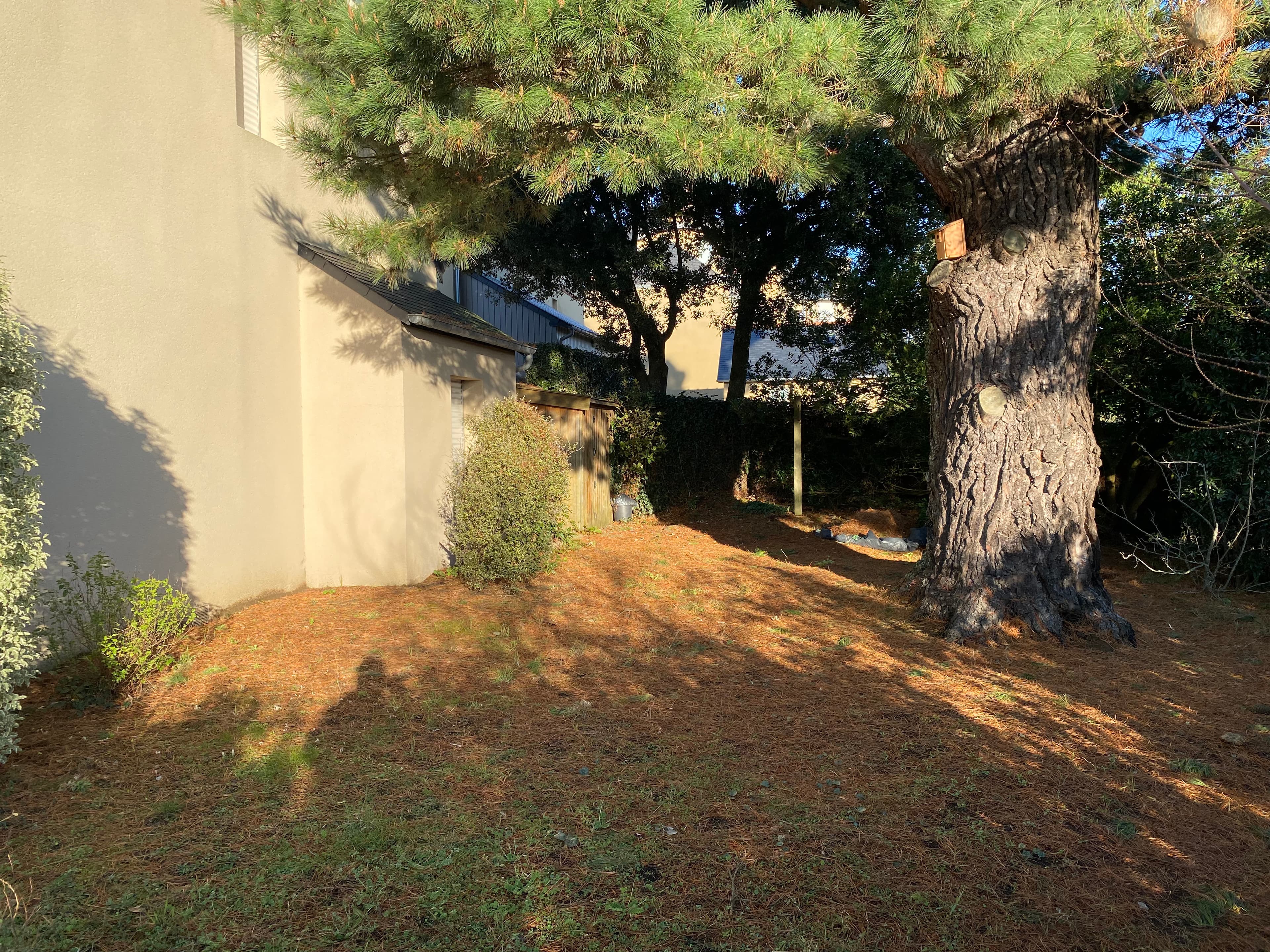 Picture of house